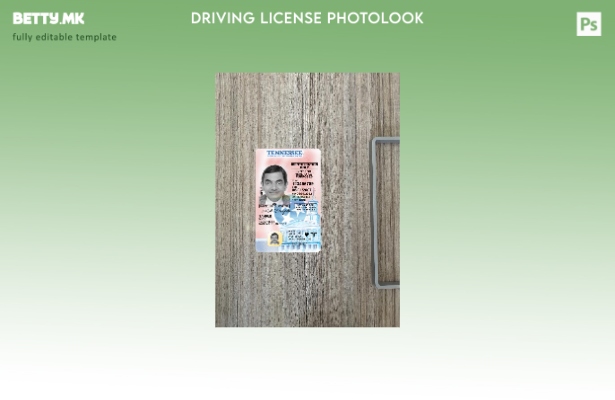 модерен стил САД Тенеси под возачка дозвола претставува преден шаблон за фотолик